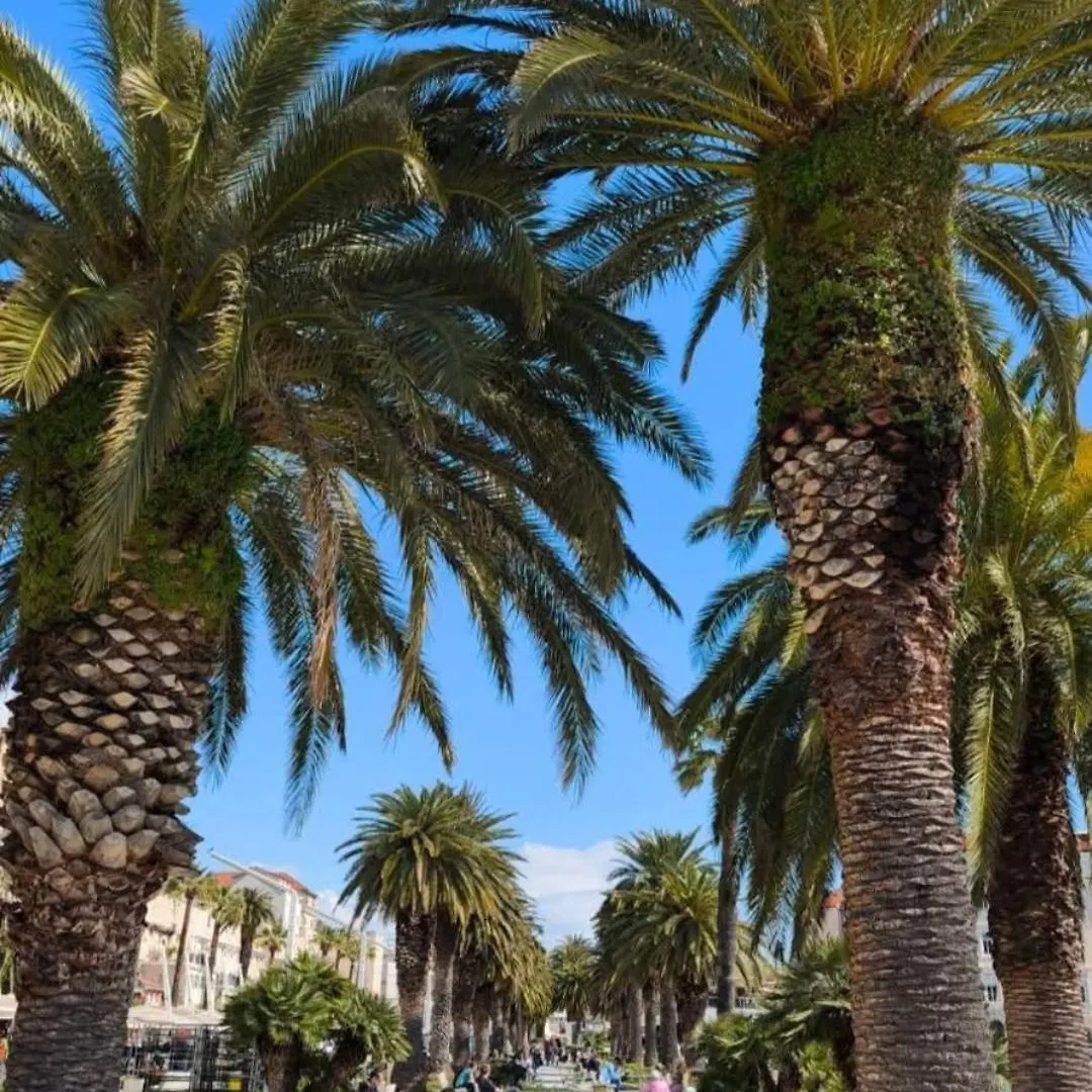 Apartments Grdelin Trogir
